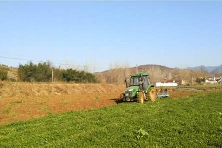 什么是绿肥呢？