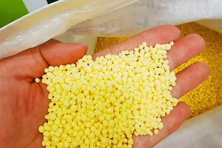 茶花开花过后施什么肥(茶花花期后怎样施肥开花多)