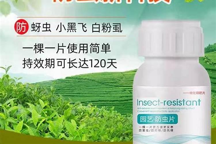 有机肥料和有机肥的区别？