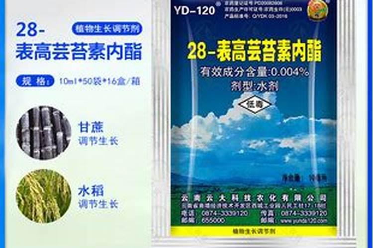 如何种植大豆