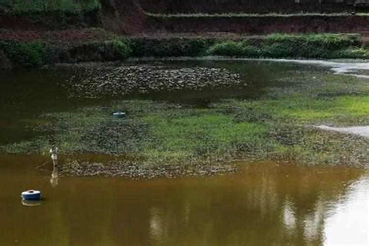 坎普自行车是哪国的品牌