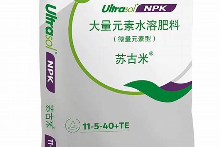 葱怎么种才长很好
