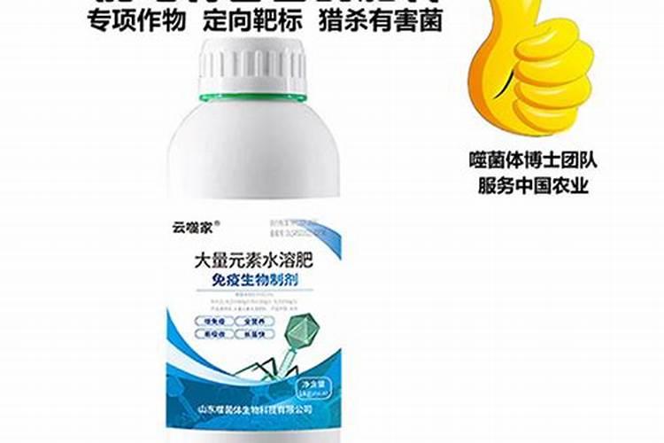 施用磷酸铵应注意哪些问题？