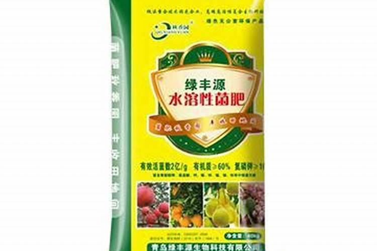 蕃茄施什么肥最好