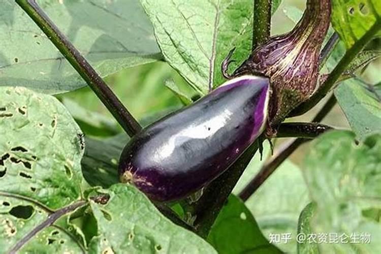 江西瑞利源是正规公司吗