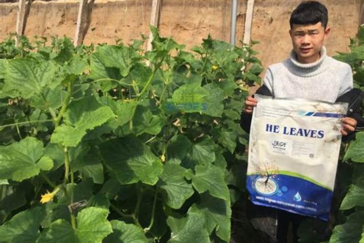 请问北京有多少家非中石油、中石化的加油站、油库。要详细电话、地址...