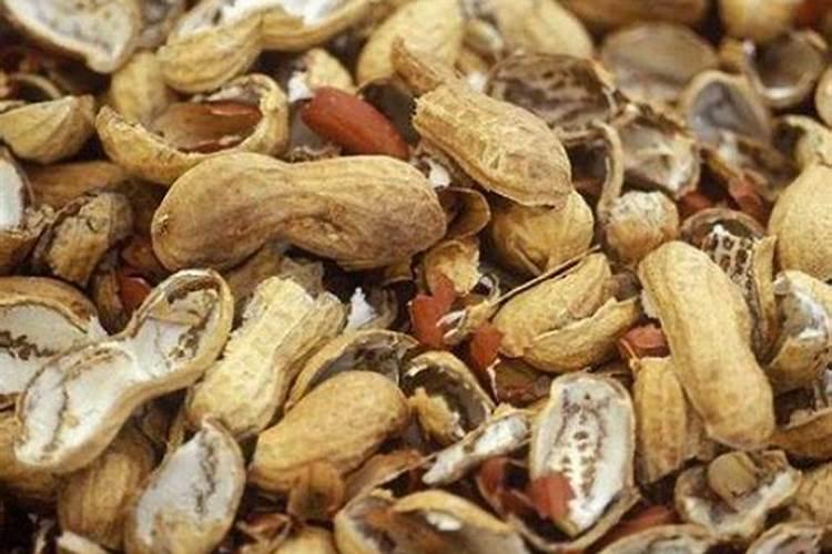 大叶菜怎么种植