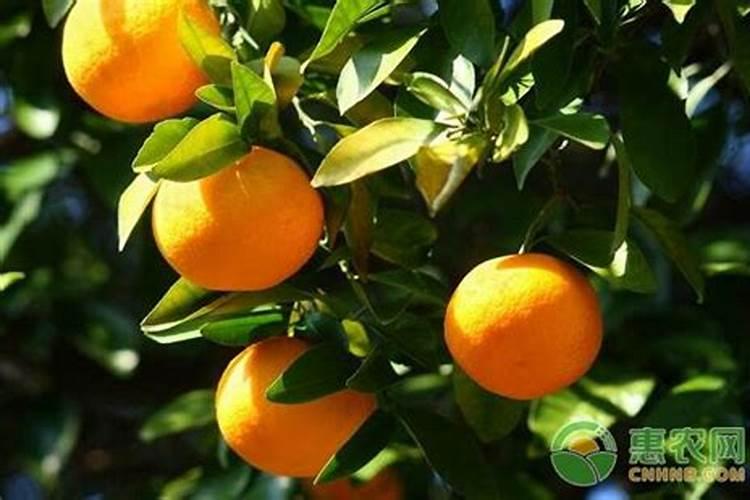 广东怀集在哪个城市