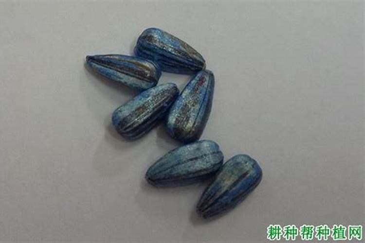 谷子喷什么叶面肥ke杈多？