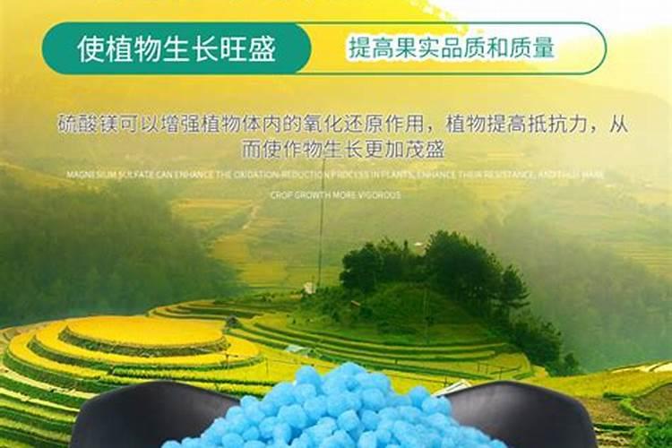 山东科普菲特生物肥业有限公司怎么样？