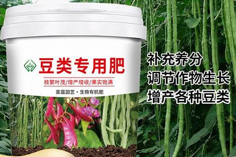 辛巴被前徒弟曝恶行辛巴被哪个徒弟背叛了