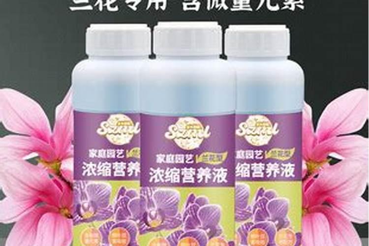 种植石斛用什么肥料