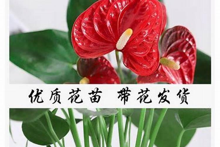 肾病的早期症状 – 肾病不能吃的6类食物 – 肾病吃什么好