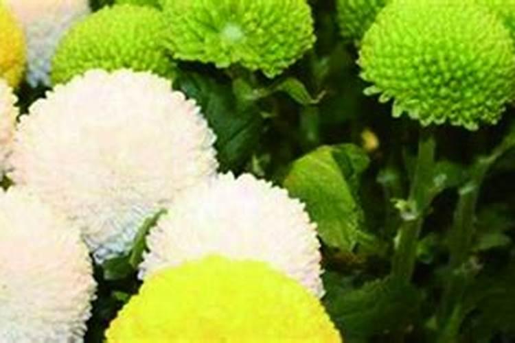 雅士利奶粉三聚氰胺超标怎么处理的