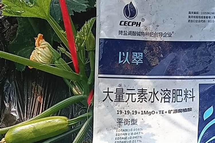 水稻一季亩产量多少 怎么管理才能实现高产