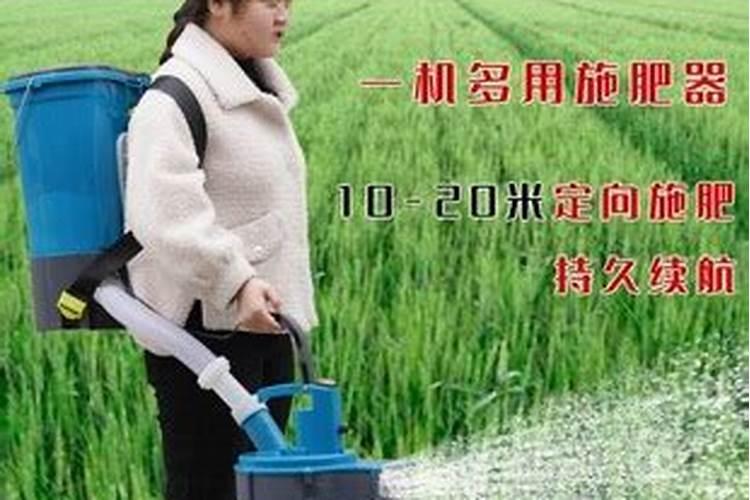 海南可以种榴莲吗