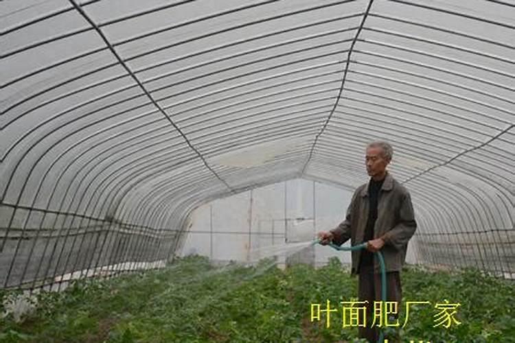 磷酸二氢铵和磷酸氢二铵有什么区别？