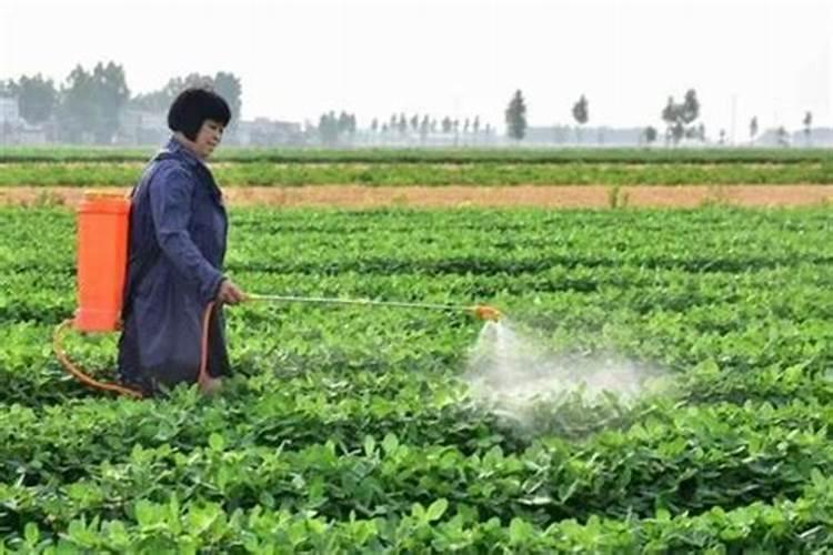 叶面肥与农药混配的注意事项