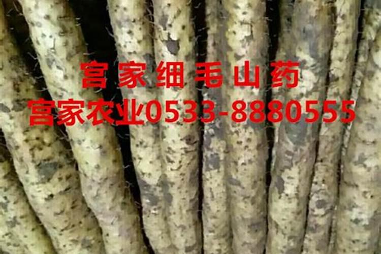 种植山药豆洗山药苗用追肥吗