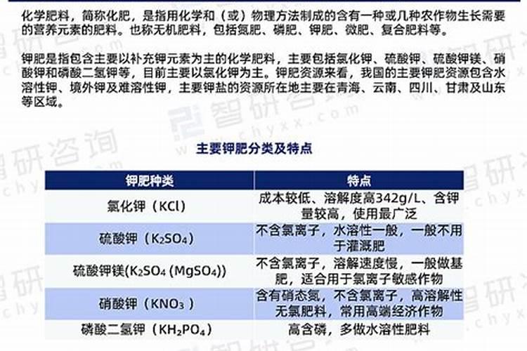 雄安有什么
