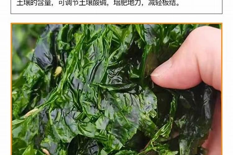 海藻多糖的作用