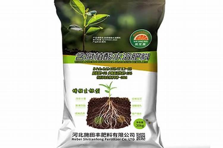 番茄浇水过多怎么办