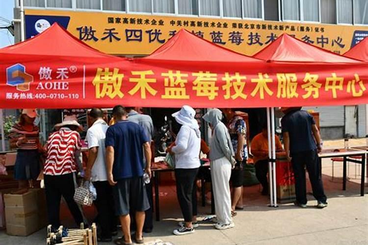 王多多事件是什么