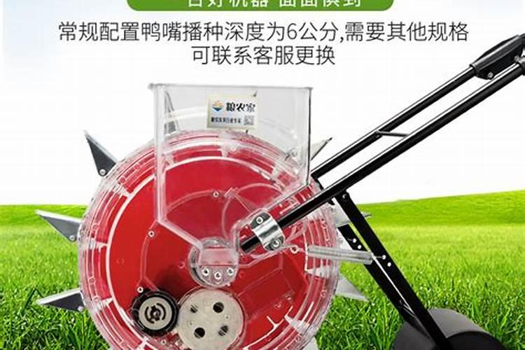 蝴蝶兰快开花时应该如何浇水施肥