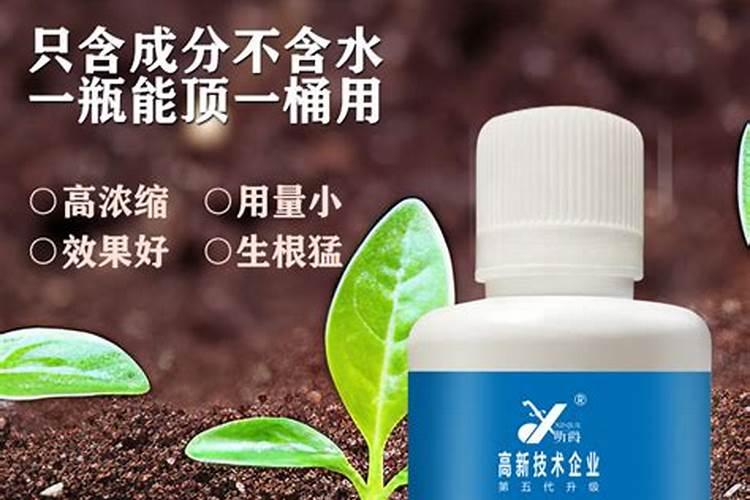 土豆种植后多长时间浇一次水