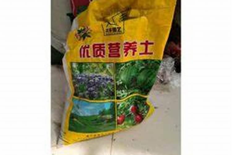 棉花蕾包头怎么解决