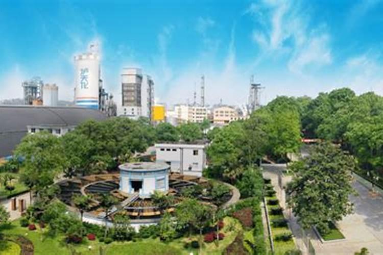 硝基复合肥优势在哪,有哪些使用禁忌