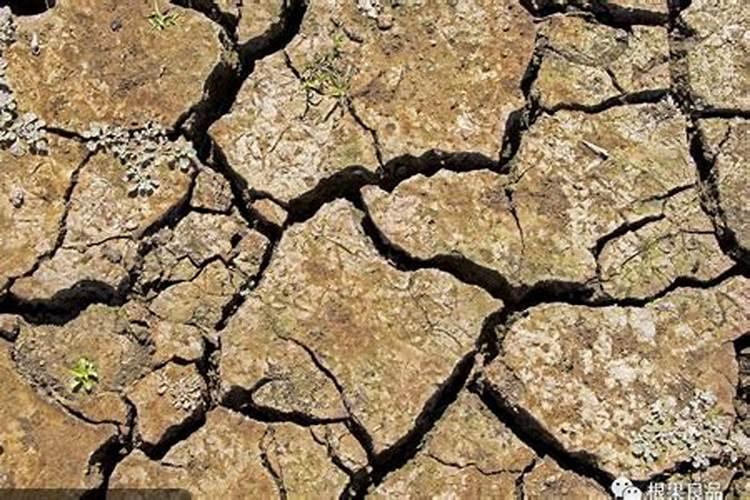 陕西盛华高新技术学校与陕西古元素文化传媒有限公司举行签约仪式百度...