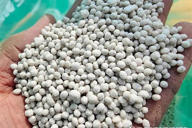 锌肥在玉米上怎样使用