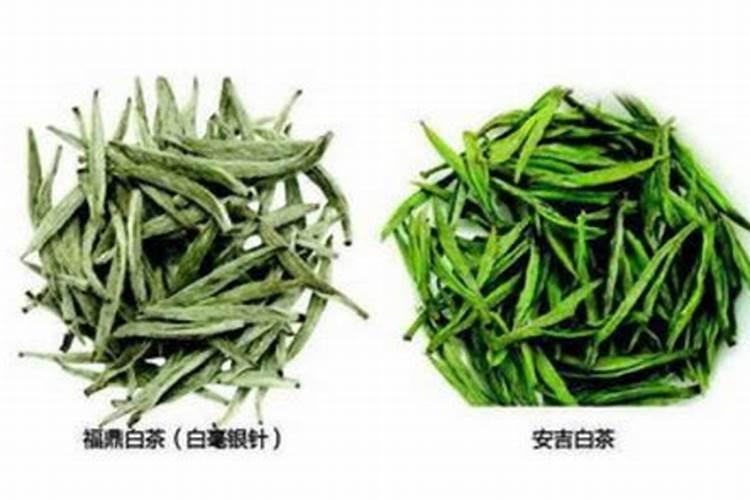 白茶施什么肥最好？