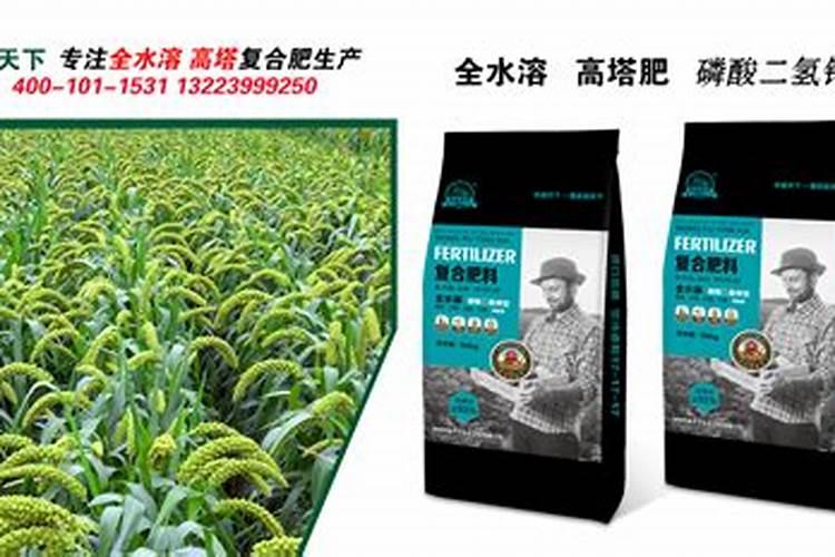 谷子用什么肥料的配比