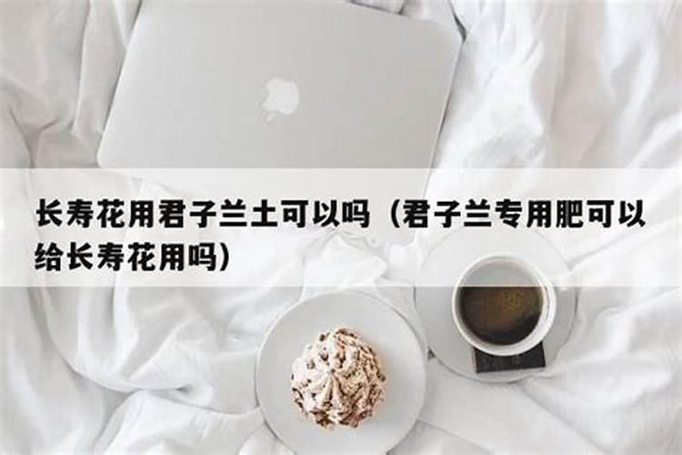 金枝玉叶喜光吗