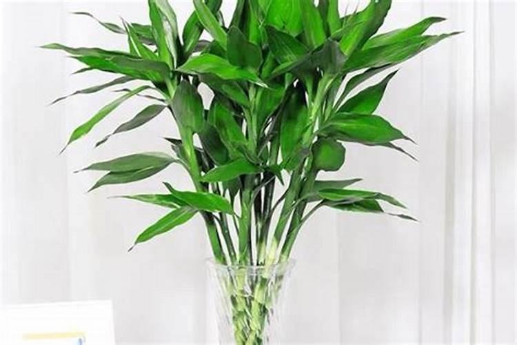 尿素一般几天见效