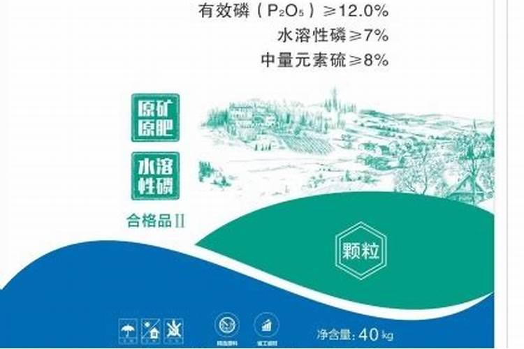 枣树用什么肥料好