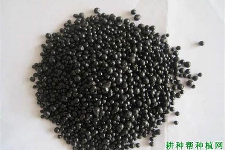 柑橘的功效和作用都有哪些呢？