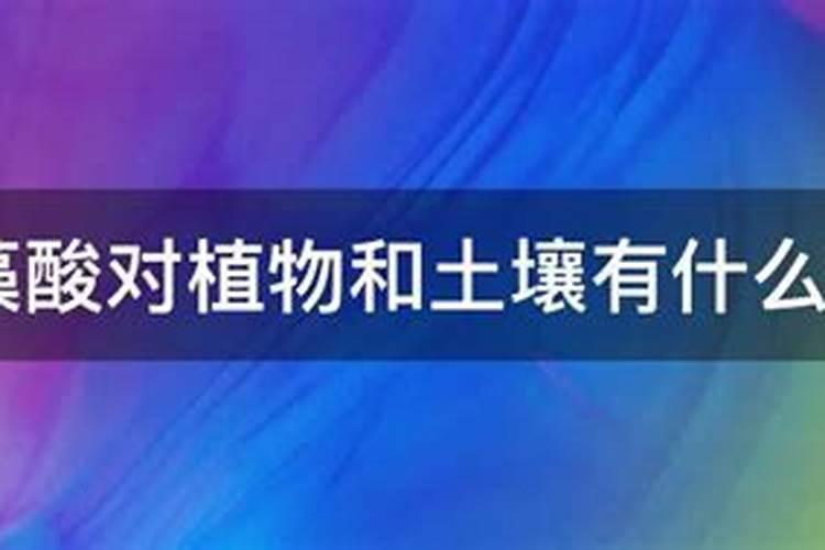 腐植酸,海藻酸和氨基酸有啥不一样？