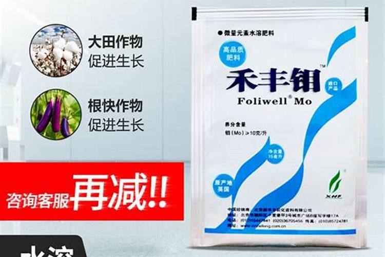 灰水粽拿什么植物来烧