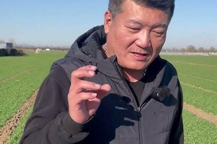 为什么种豆可以肥田