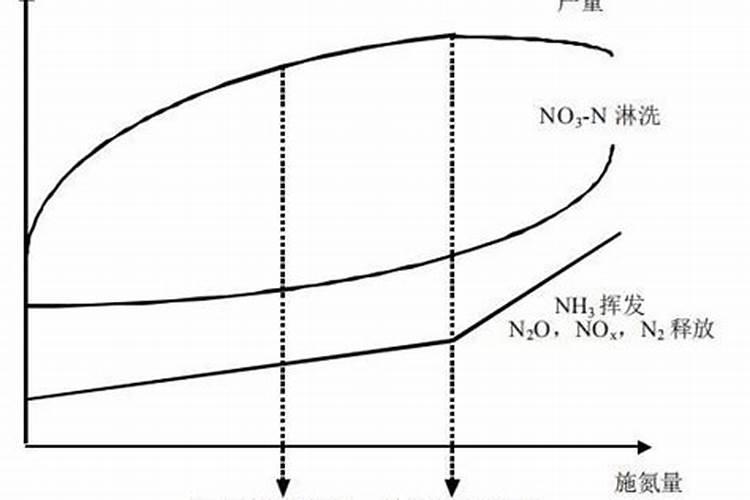 海南张贝西个人资料