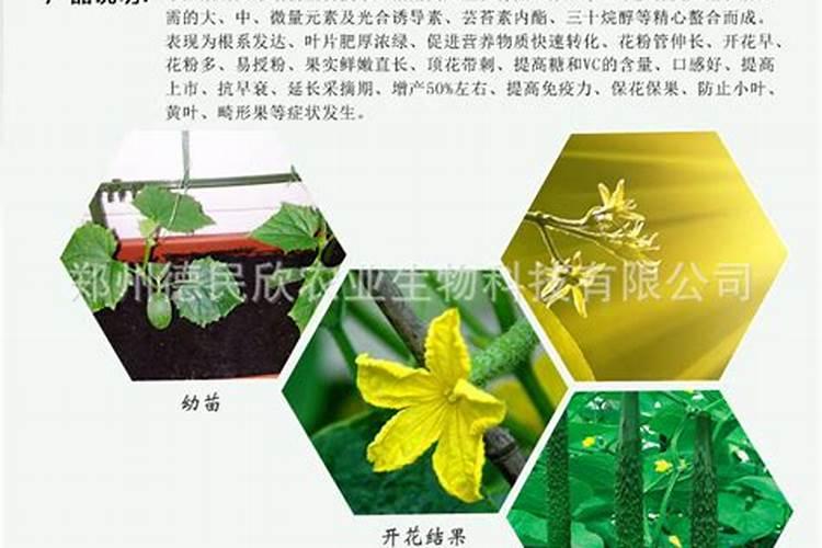 蜂蜜能代替氨基酸对果树用肥吗？