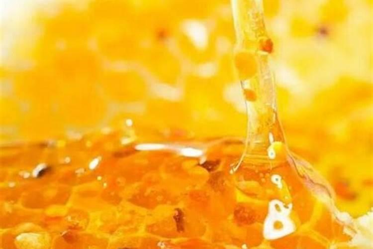 水培白掌施什么肥