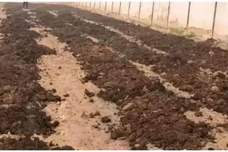 汇林优品:有机肥和化肥混用之后,是怎样的？