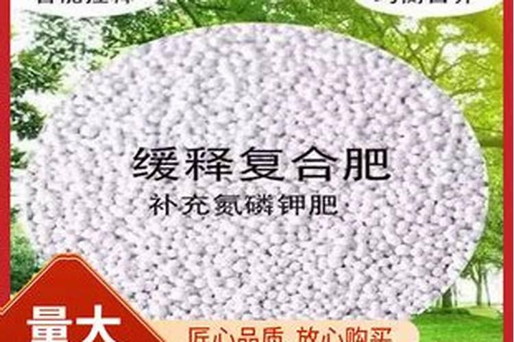 金银花用不用掐心怎么养才能开花