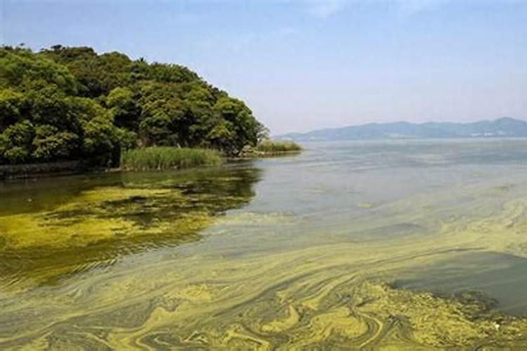 硝酸钾是钾肥还是氮肥