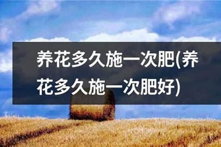 玫瑰花多久施一次肥(要施什么肥料)