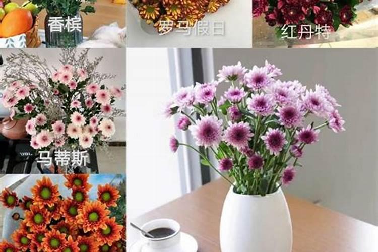 北京哪里卖高档电器